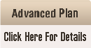 web hosting advanced plan