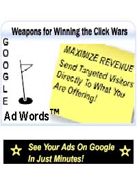 Google Advertising